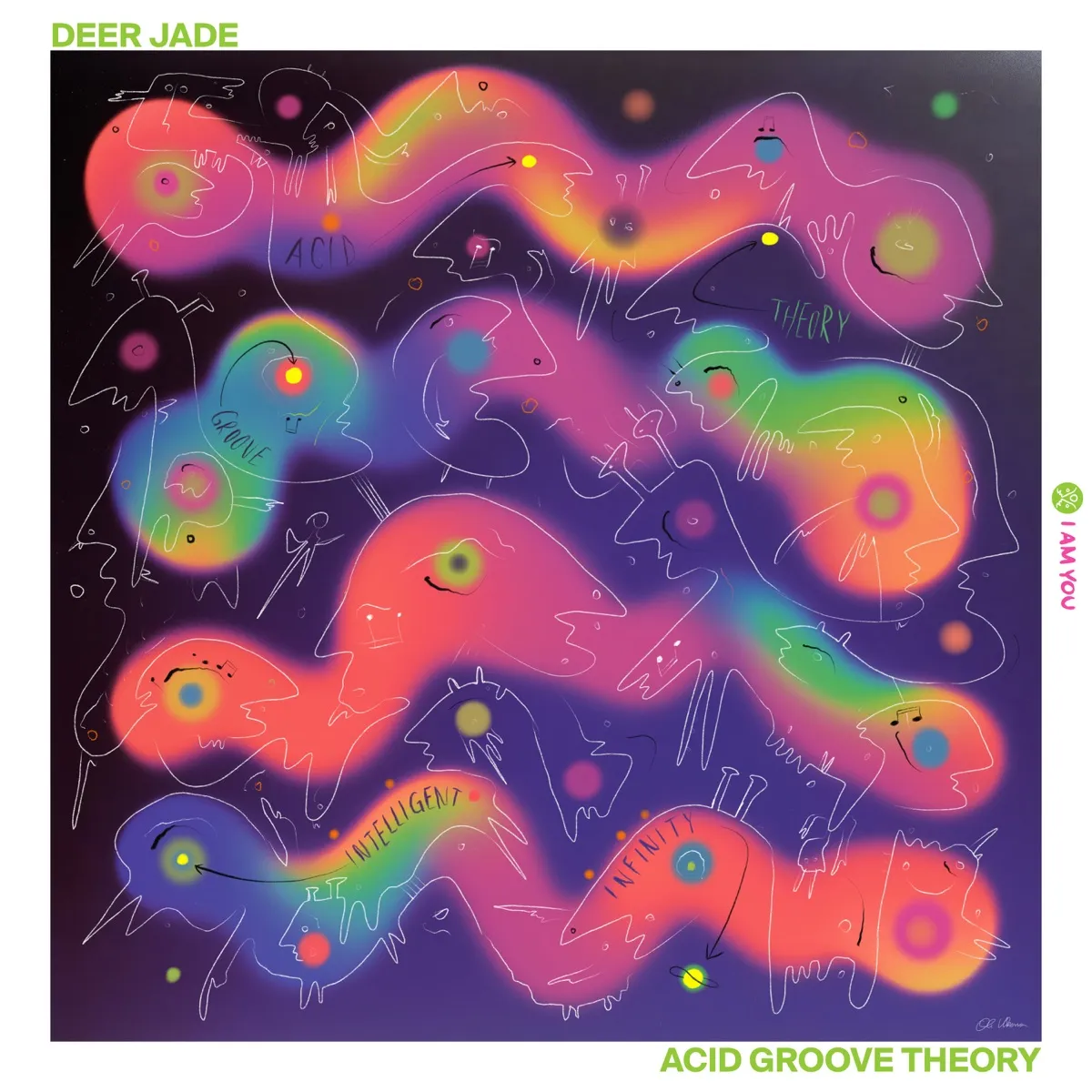Acid Groove Theory — Deer Jade