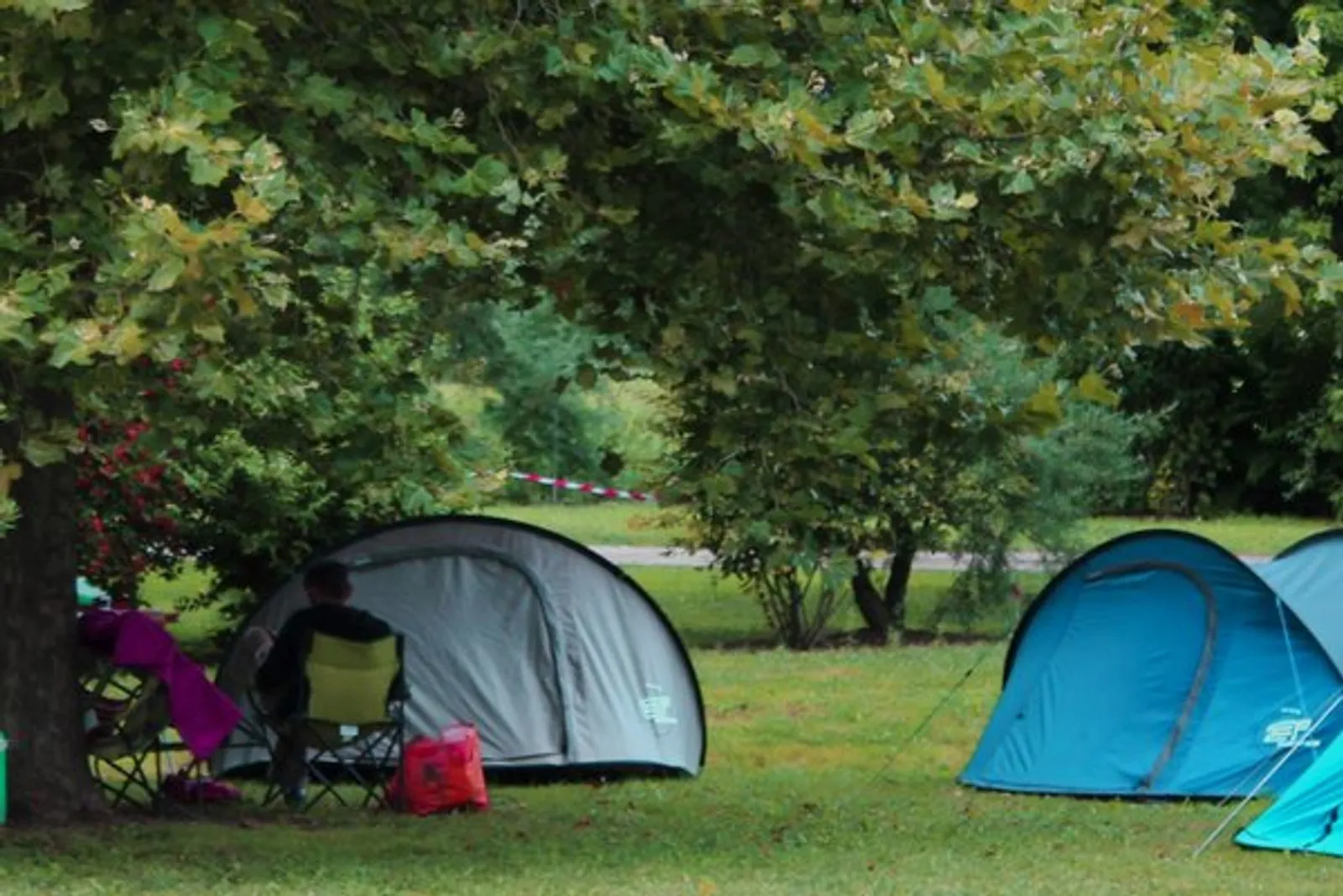 Own tent or caravan: camping pitches under the trees